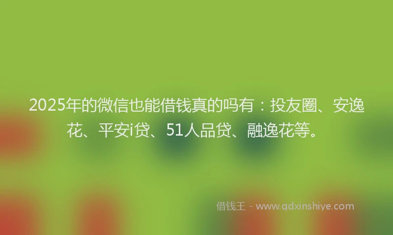 2025年的微信也能借钱真的吗有：投友圈、安逸花、平安i贷、51人品贷、融逸花等。