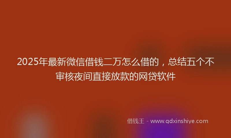 2025年最新微信借钱二万怎么借的，总结五个不审核夜间直接放款的网贷软件