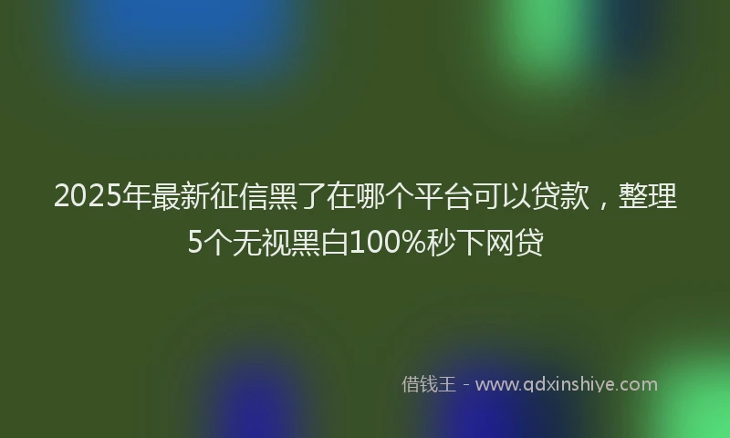 2025年最新征信黑了在哪个平台可以贷款，整理5个无视黑白100%秒下网贷