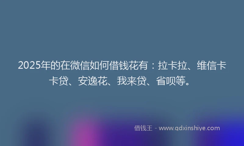 2025年的在微信如何借钱花有：拉卡拉、维信卡卡贷、安逸花、我来贷、省呗等。