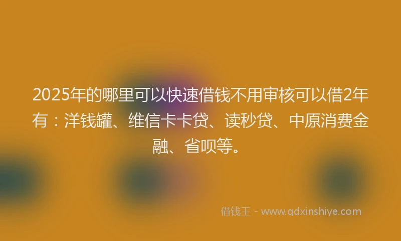 2025年的哪里可以快速借钱不用审核可以借2年有：洋钱罐、维信卡卡贷、读秒贷、中原消费金融、省呗等。
