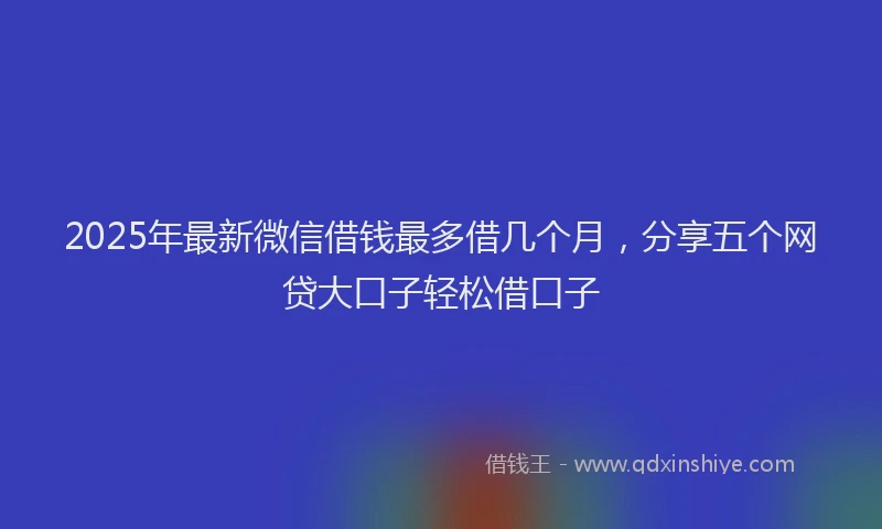2025年最新微信借钱最多借几个月，分享五个网贷大口子轻松借口子