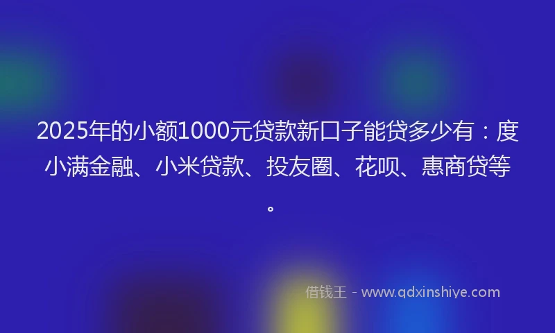 2025年的小额1000元贷款新口子能贷多少有：度小满金融、小米贷款、投友圈、花呗、惠商贷等。