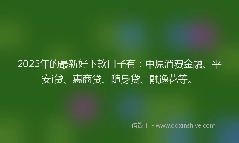 2025年的最新好下款口子有：中原消费金融、平安i贷、惠商贷、随身贷、融逸花等。
