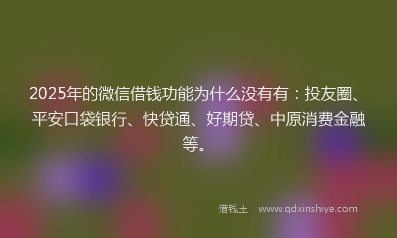 2025年的微信借钱功能为什么没有有：投友圈、平安口袋银行、快贷通、好期贷、中原消费金融等。