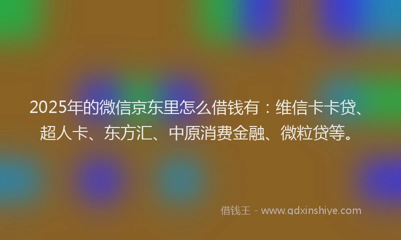 2025年的微信京东里怎么借钱有：维信卡卡贷、超人卡、东方汇、中原消费金融、微粒贷等。