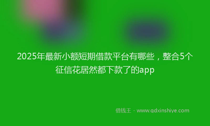 2025年最新小额短期借款平台有哪些，整合5个征信花居然都下款了的app
