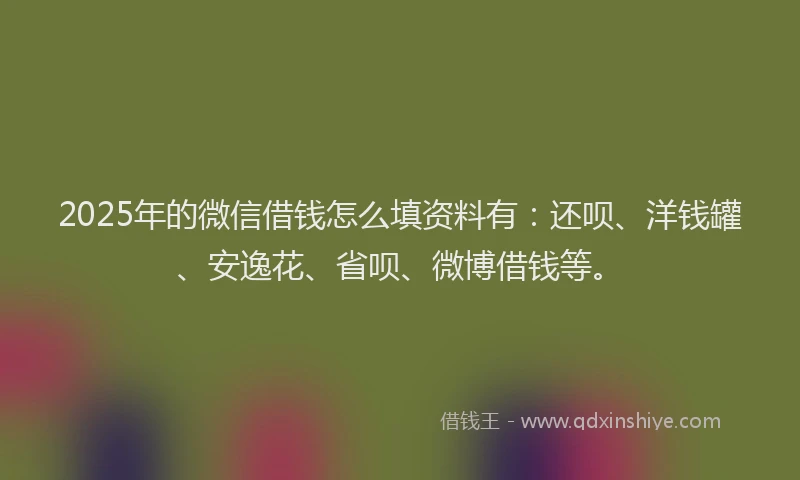 2025年的微信借钱怎么填资料有：还呗、洋钱罐、安逸花、省呗、微博借钱等。