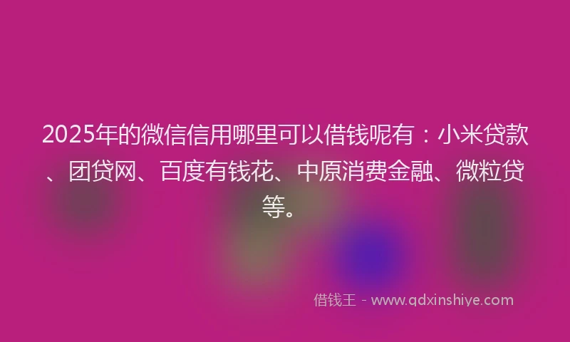 2025年的微信信用哪里可以借钱呢有：小米贷款、团贷网、百度有钱花、中原消费金融、微粒贷等。