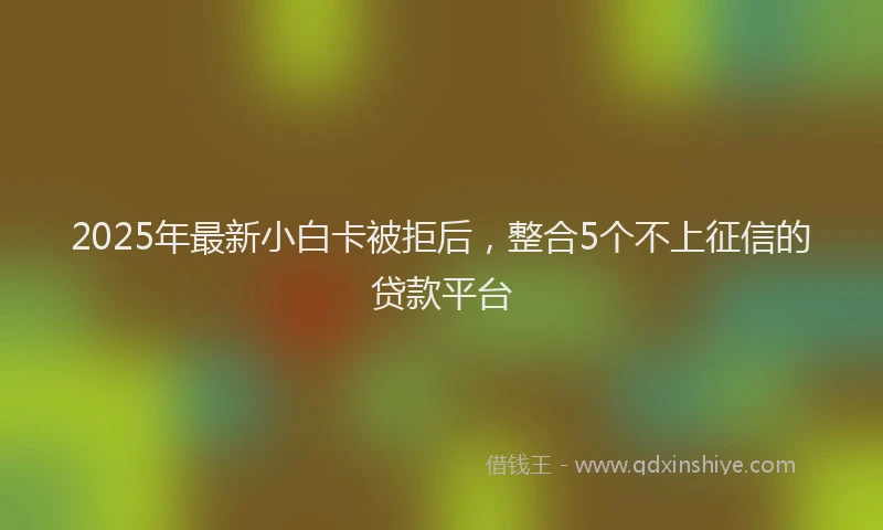 2025年最新小白卡被拒后，整合5个不上征信的贷款平台
