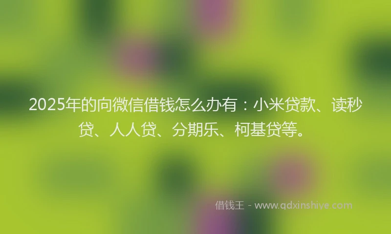 2025年的向微信借钱怎么办有：小米贷款、读秒贷、人人贷、分期乐、柯基贷等。