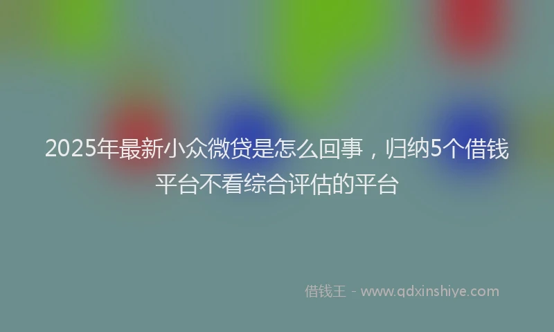 2025年最新小众微贷是怎么回事，归纳5个借钱平台不看综合评估的平台
