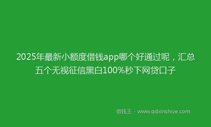 2025年最新小额度借钱app哪个好通过呢，汇总五个无视征信黑白100%秒下网贷口子