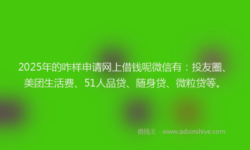 2025年的咋样申请网上借钱呢微信有：投友圈、美团生活费、51人品贷、随身贷、微粒贷等。