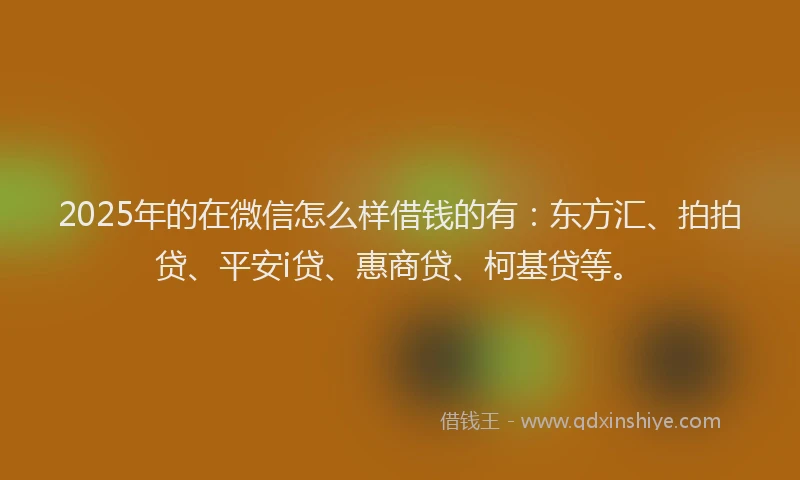 2025年的在微信怎么样借钱的有：东方汇、拍拍贷、平安i贷、惠商贷、柯基贷等。