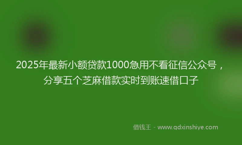 2025年最新小额贷款1000急用不看征信公众号，分享五个芝麻借款实时到账速借口子
