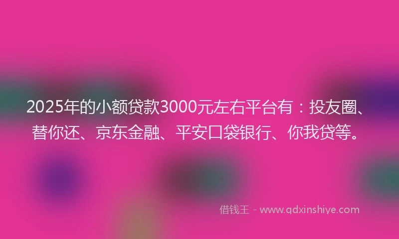 2025年的小额贷款3000元左右平台有：投友圈、替你还、京东金融、平安口袋银行、你我贷等。