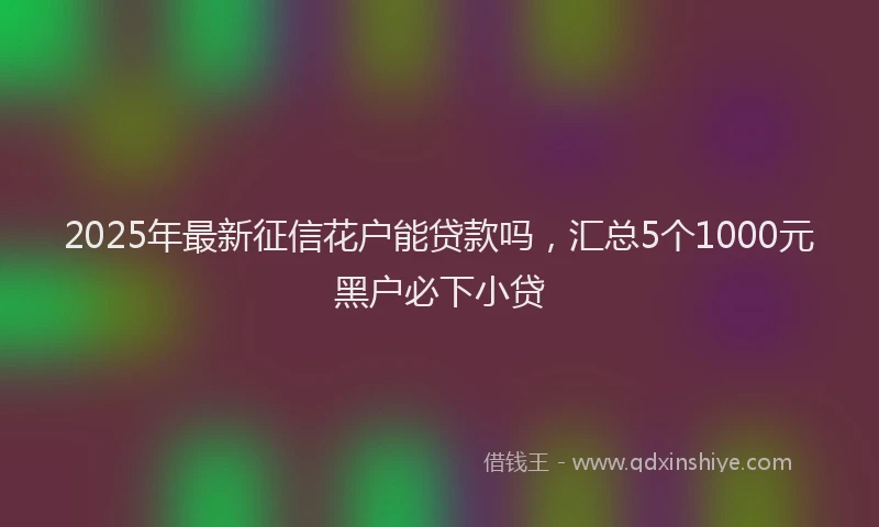 2025年最新征信花户能贷款吗，汇总5个1000元黑户必下小贷