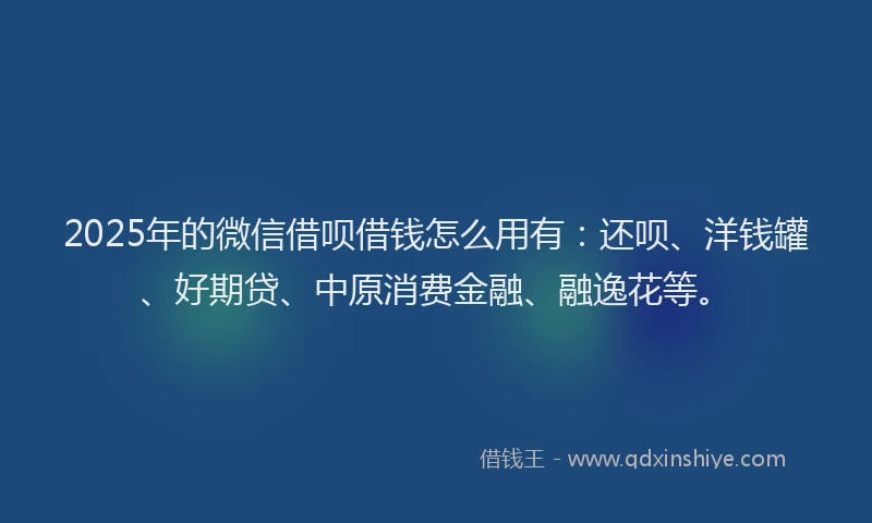 2025年的微信借呗借钱怎么用有：还呗、洋钱罐、好期贷、中原消费金融、融逸花等。