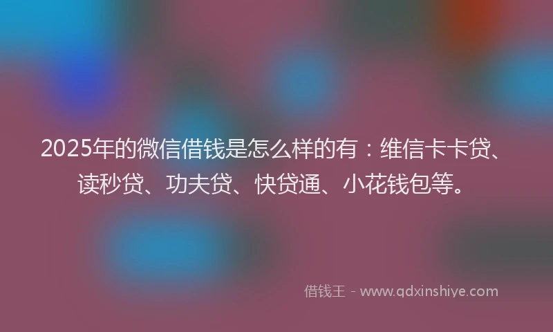 2025年的微信借钱是怎么样的有：维信卡卡贷、读秒贷、功夫贷、快贷通、小花钱包等。