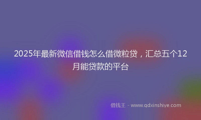2025年最新微信借钱怎么借微粒贷，汇总五个12月能贷款的平台
