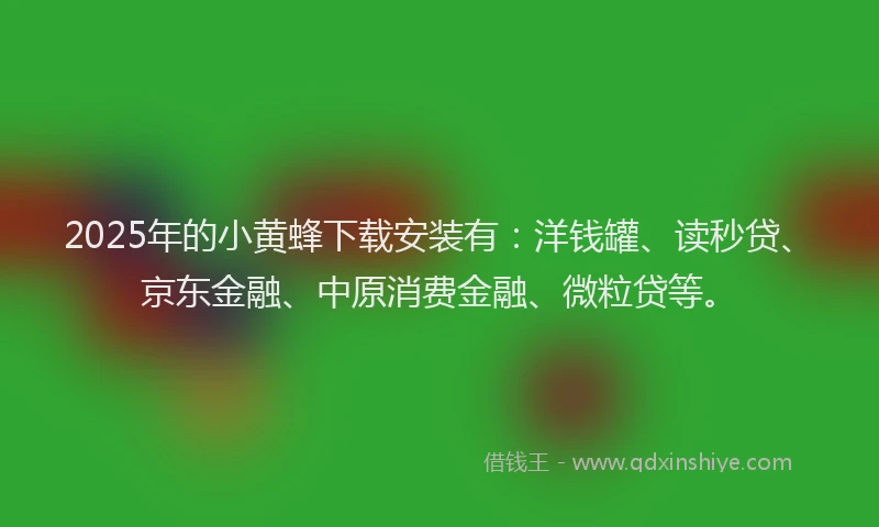 2025年的小黄蜂下载安装有：洋钱罐、读秒贷、京东金融、中原消费金融、微粒贷等。