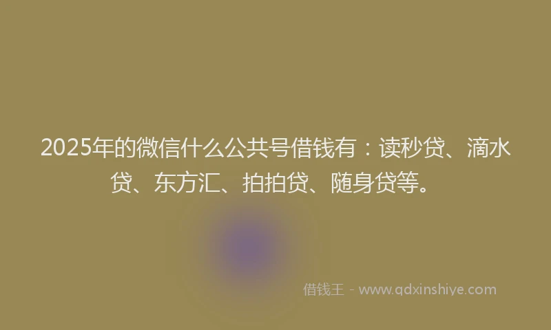 2025年的微信什么公共号借钱有：读秒贷、滴水贷、东方汇、拍拍贷、随身贷等。