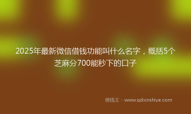2025年最新微信借钱功能叫什么名字，概括5个芝麻分700能秒下的口子
