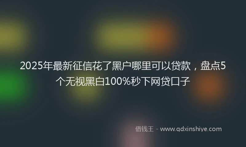 2025年最新征信花了黑户哪里可以贷款，盘点5个无视黑白100%秒下网贷口子