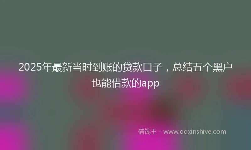 2025年最新当时到账的贷款口子，总结五个黑户也能借款的app