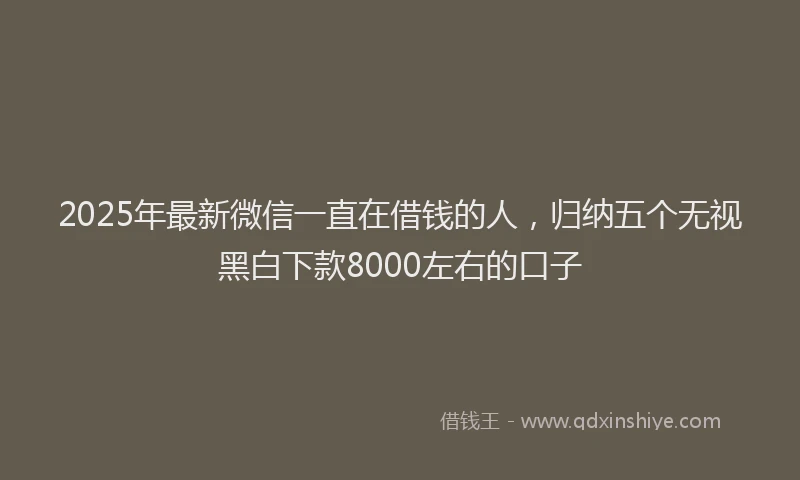 2025年最新微信一直在借钱的人，归纳五个无视黑白下款8000左右的口子