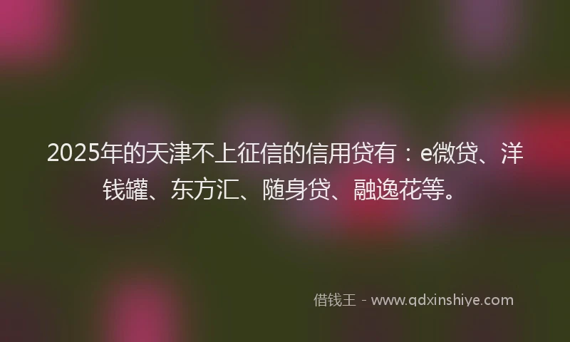 2025年的天津不上征信的信用贷有：e微贷、洋钱罐、东方汇、随身贷、融逸花等。