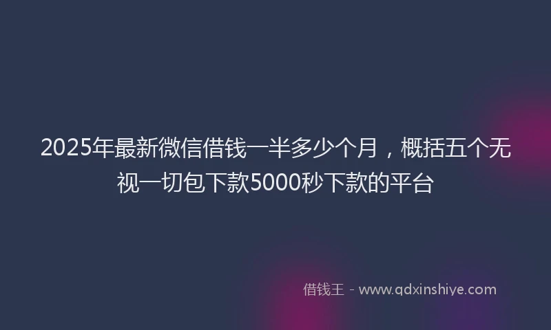 2025年最新微信借钱一半多少个月，概括五个无视一切包下款5000秒下款的平台