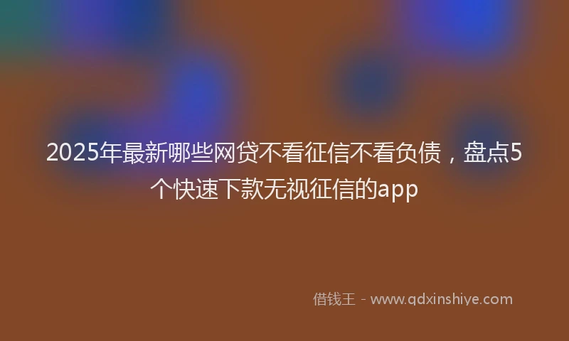 2025年最新哪些网贷不看征信不看负债，盘点5个快速下款无视征信的app