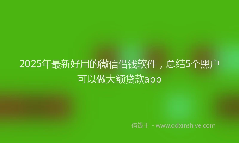 2025年最新好用的微信借钱软件，总结5个黑户可以做大额贷款app
