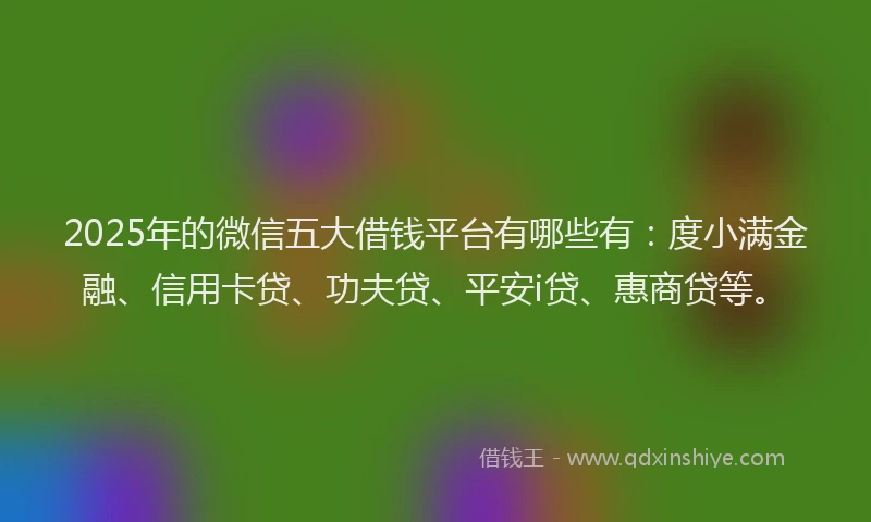 2025年的微信五大借钱平台有哪些有：度小满金融、信用卡贷、功夫贷、平安i贷、惠商贷等。