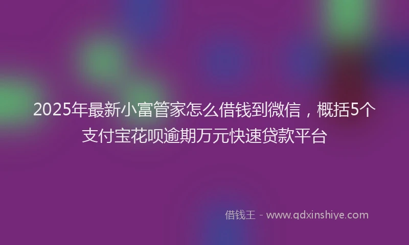 2025年最新小富管家怎么借钱到微信，概括5个支付宝花呗逾期万元快速贷款平台