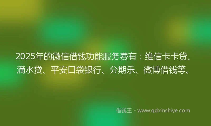 2025年的微信借钱功能服务费有：维信卡卡贷、滴水贷、平安口袋银行、分期乐、微博借钱等。