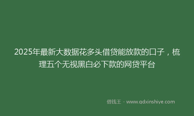 2025年最新大数据花多头借贷能放款的口子，梳理五个无视黑白必下款的网贷平台