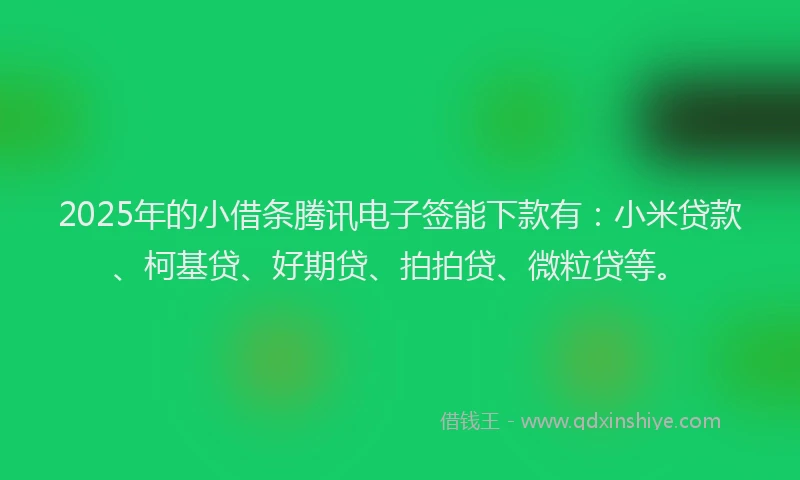 2025年的小借条腾讯电子签能下款有：小米贷款、柯基贷、好期贷、拍拍贷、微粒贷等。