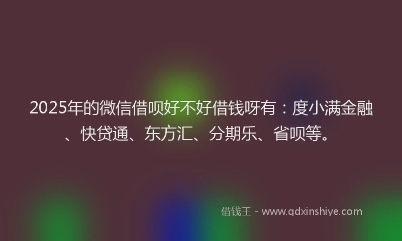 2025年的微信借呗好不好借钱呀有：度小满金融、快贷通、东方汇、分期乐、省呗等。