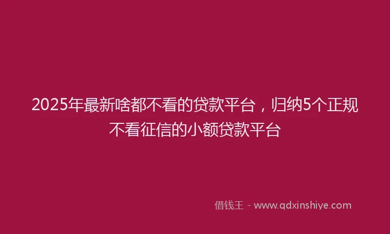 2025年最新啥都不看的贷款平台，归纳5个正规不看征信的小额贷款平台