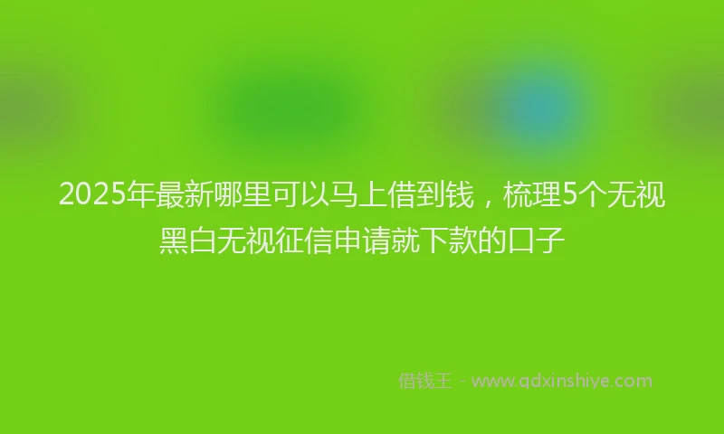 2025年最新哪里可以马上借到钱，梳理5个无视黑白无视征信申请就下款的口子
