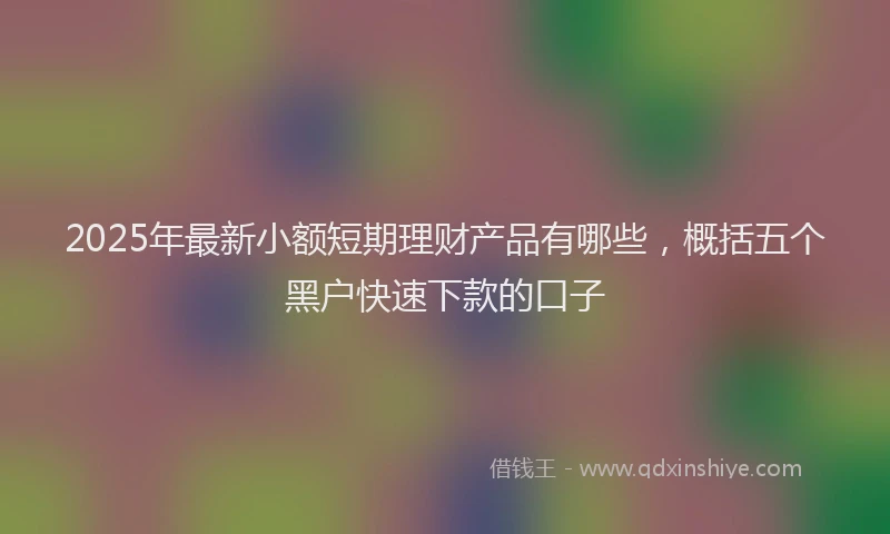 2025年最新小额短期理财产品有哪些，概括五个黑户快速下款的口子