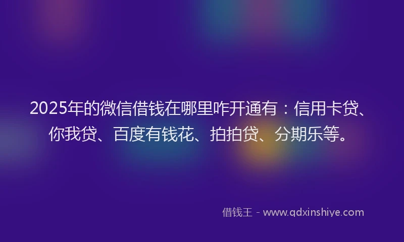 2025年的微信借钱在哪里咋开通有：信用卡贷、你我贷、百度有钱花、拍拍贷、分期乐等。