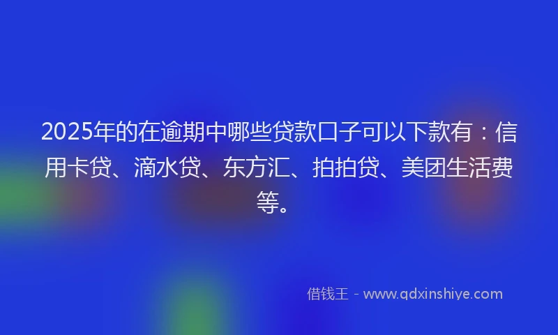 2025年的在逾期中哪些贷款口子可以下款有：信用卡贷、滴水贷、东方汇、拍拍贷、美团生活费等。