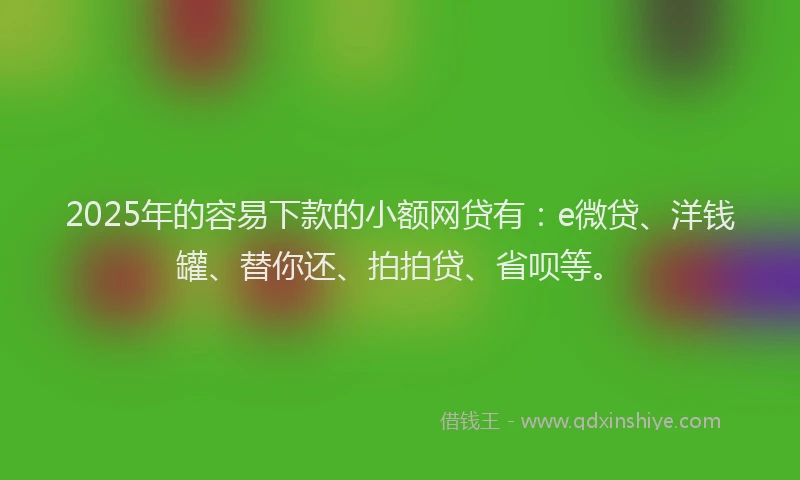 2025年的容易下款的小额网贷有：e微贷、洋钱罐、替你还、拍拍贷、省呗等。
