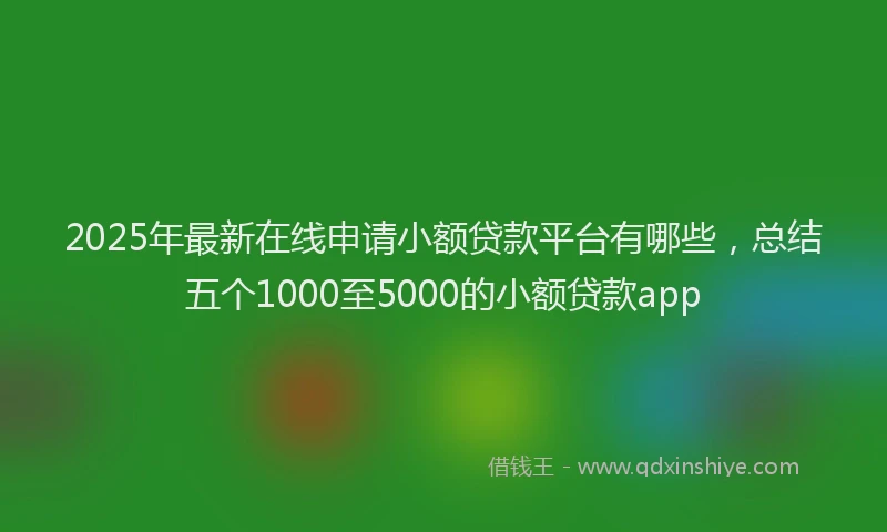 2025年最新在线申请小额贷款平台有哪些，总结五个1000至5000的小额贷款app