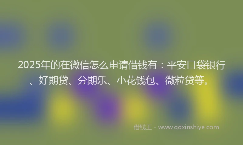 2025年的在微信怎么申请借钱有：平安口袋银行、好期贷、分期乐、小花钱包、微粒贷等。