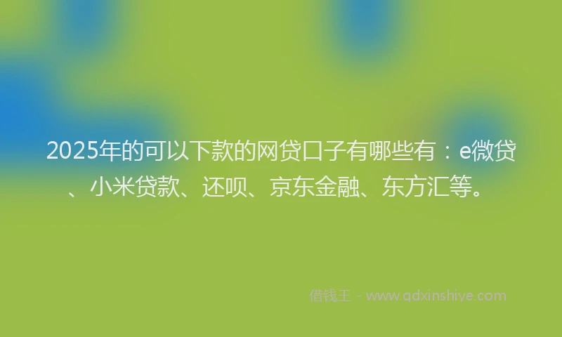 2025年的可以下款的网贷口子有哪些有：e微贷、小米贷款、还呗、京东金融、东方汇等。